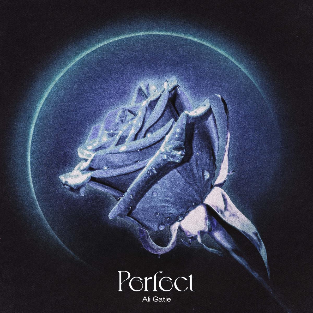 ALI GATIE БЛЕСТИ В НЕТЪРПЕЛИВО ОЧАКВАНИЯ НОВ ТРАК “PERFECT”
