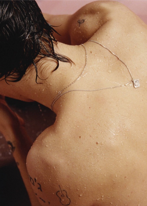 Harry Styles - "Harry Styles"